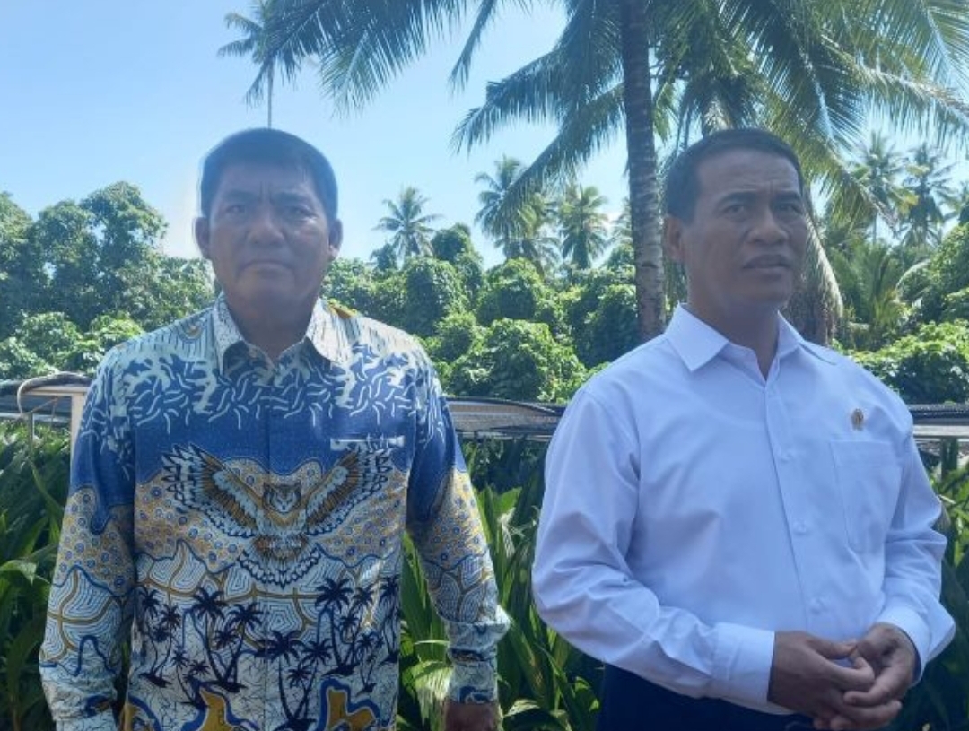 Mentan Siapkan Bantuan Bibit Jagung untuk 15 Ribu Hektare di Sulawesi Utara