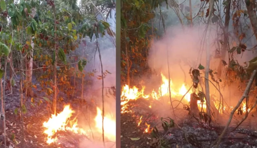 Karhutla Kembali Meluas di Damau Talaud, Api Membakar Perkebunan Desa Akas