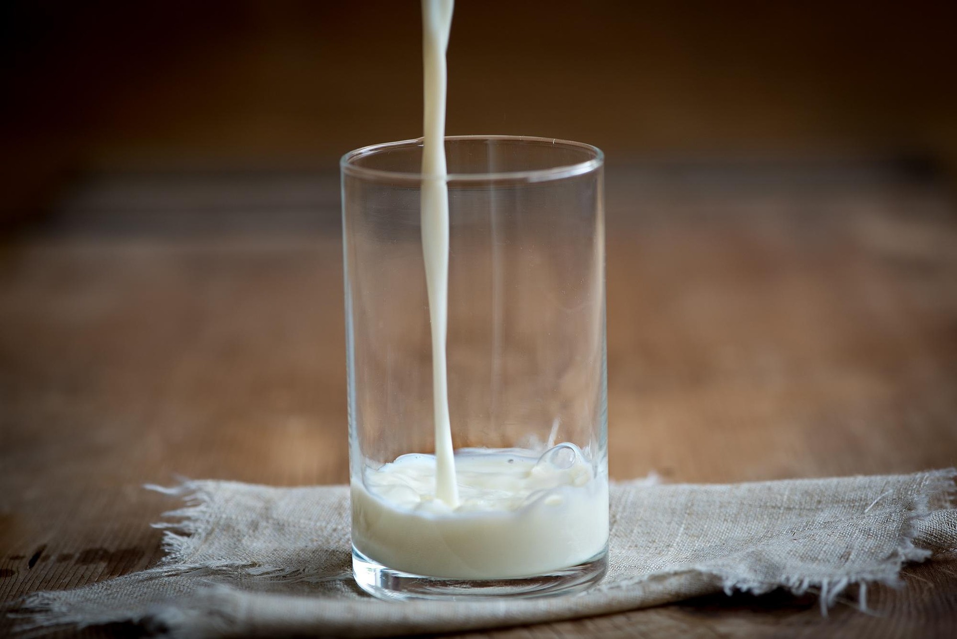 4 Manfaat Susu Beruang untuk Mereka yang Rutin Mengonsumsinya: Bukan Mitos Belaka