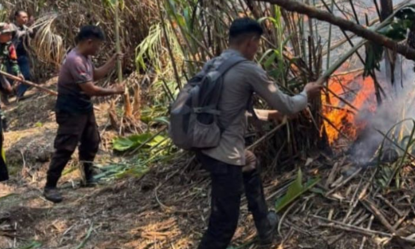 2.653 Hektare Lahan di Sulut Terbakar Sepanjang 2026, Polisi Perkuat Pencegahan