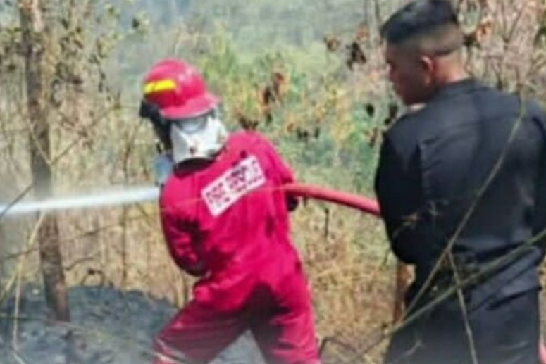 1.500 Hektare Hutan dan Lahan di Sulut Terbakar Sepanjang 2026