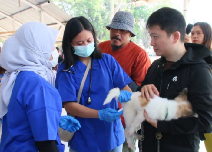 Cegah Rabies di Sulut, Karantina Dorong Kolaborasi Lintas Sektor