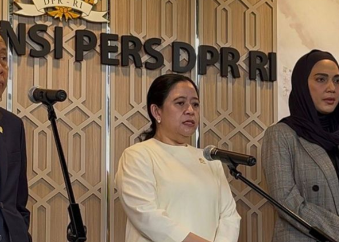 Puan Tanggapi Safari Politik Jokowi: Semua Warga Negara Berhak