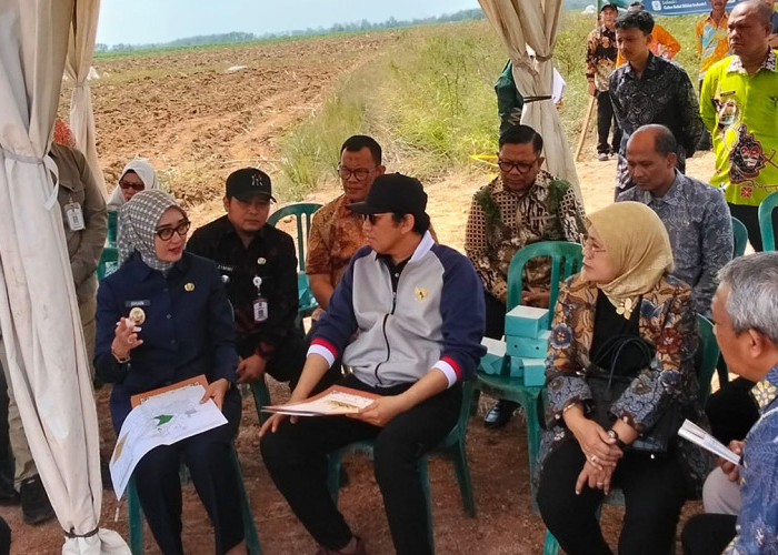 Wamenperin Faisol Riza Tinjau Lahan 6 Hektare Calon Balai Diklat Industri di Lampung Fokus Hilirisasi Singkong