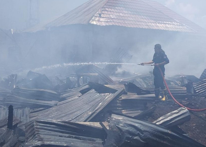 14 Rumah di Permukiman Padat Manado Hangus Terbakar, Api Diduga Berasal dari Aktivitas Menggoreng Tahu