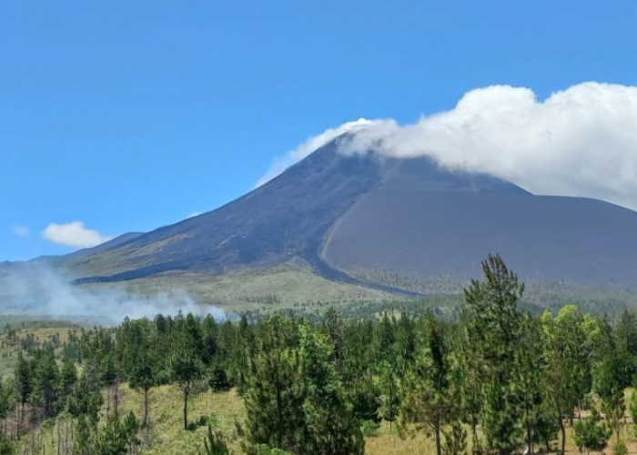 Kebakaran Hutan Lindung Gunung Soputan Meluas, BPBD Perkirakan 100 Hektare Lahan Terbakar