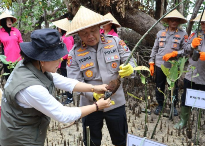 Kapolda Sulut dan Wali Kota Manado Tanam Mangrove di Bunaken, Ini Tujuannya