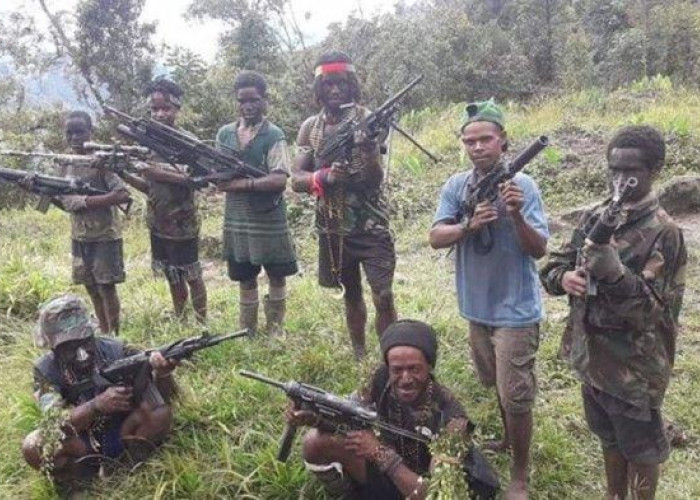 Komnas HAM Kecam Penembakan 3 Pegawai Dinas Pertanian Jayawijaya