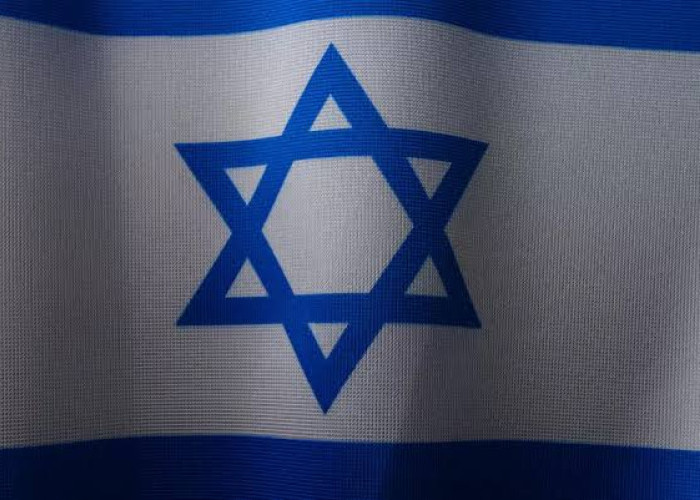 DPR Desak Pemerintah Bebaskan WNI yang Ditahan Israel dalam Misi Bantuan Gaza