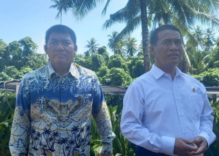 Mentan Siapkan Bantuan Bibit Jagung untuk 15 Ribu Hektare di Sulawesi Utara