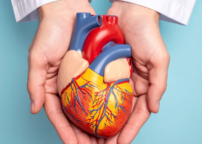 Serangan Jantung Beda dengan Henti Jantung, Ini Penjelasannya dari Dokter Spesialis