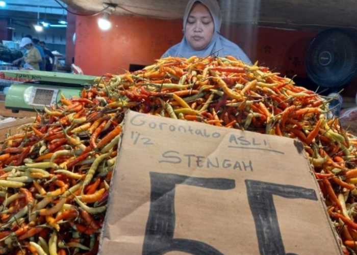 Harga Cabai Rawit Rp200 Ribu, Inflasi Sulut Berisiko Tembus 4,5 Persen