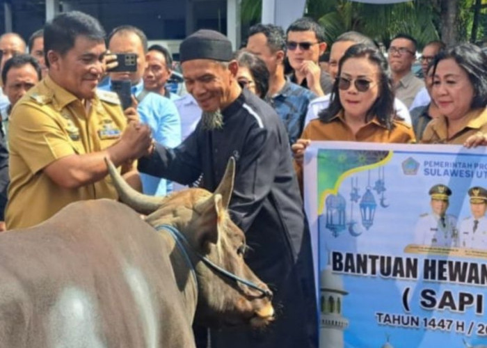 Gubernur Sulut Serahkan 46 Sapi Kurban, Termasuk Bantuan Presiden Prabowo