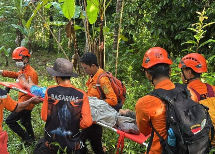 Lansia Hilang 5 Hari di Tomohon Ditemukan Selamat di Perkebunan Minahasa