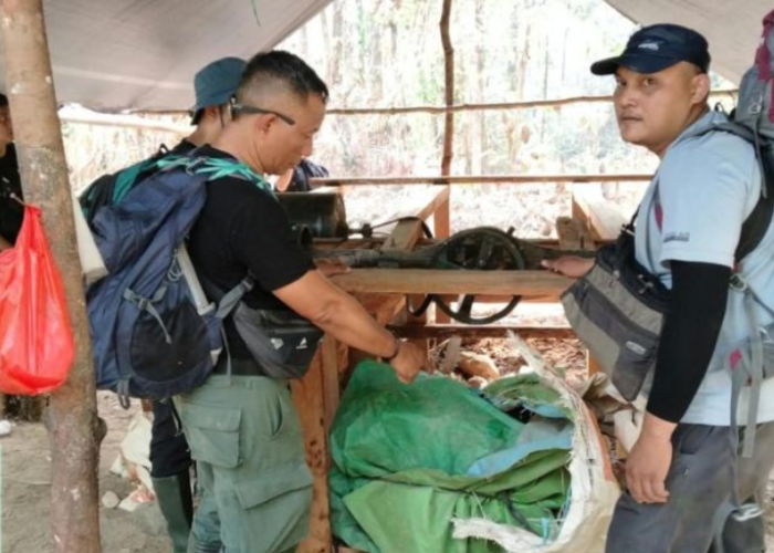 Polda Sulut Bongkar Tambang Emas Ilegal di Taman Nasional Bogani, Puluhan Tenda Ditemukan