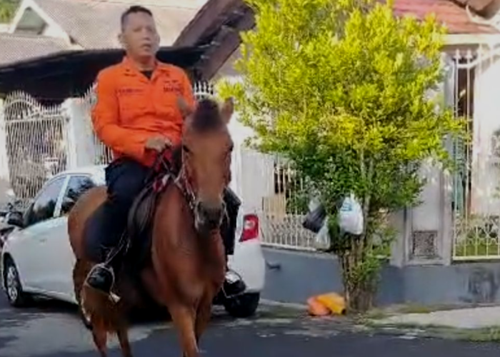 Anggota Basarnas Sulut Pilih Naik Kuda ke Kantor, Dinilai Jadi Alternatif Hemat dan Ramah Lingkungan