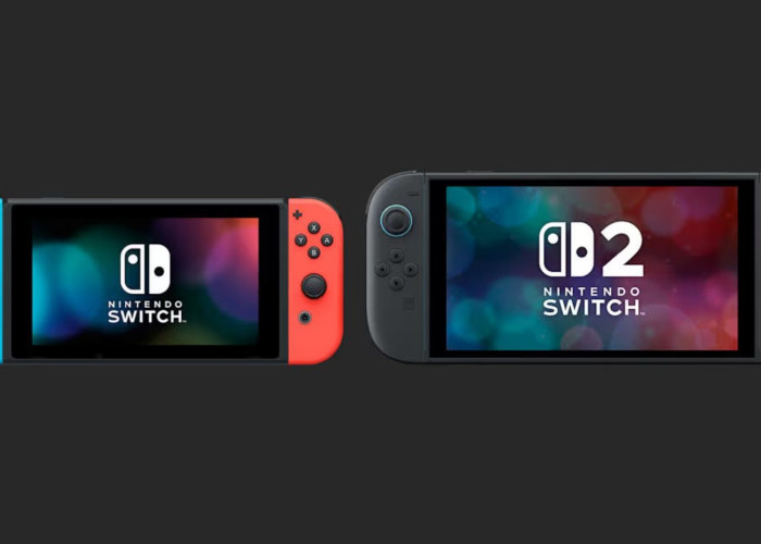5 Risiko Males Nyabut Game Card Nintendo Switch: Sudah Tau Belum?