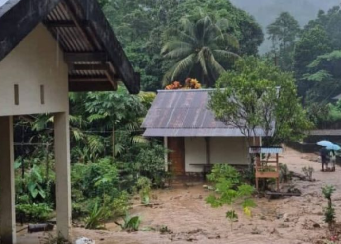BPBD Ungkap Dampak Banjir Bandang Sangihe, Empat Kecamatan Diterjang Longsor dan Pohon Tumbang