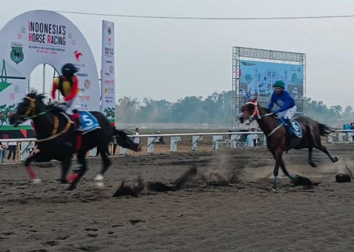Sulut Sabet Juara Umum Kejurnas Pacuan Kuda 2026, Kalahkan Jawa Barat