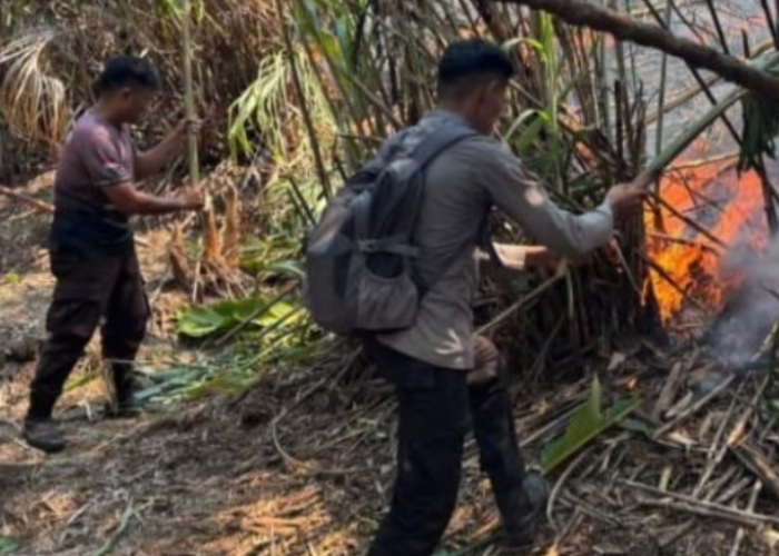 2.653 Hektare Lahan di Sulut Terbakar Sepanjang 2026, Polisi Perkuat Pencegahan