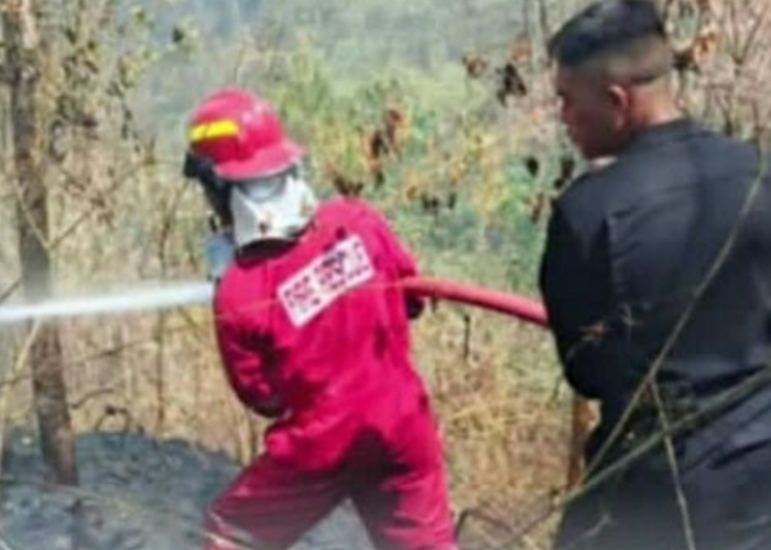 1.500 Hektare Hutan dan Lahan di Sulut Terbakar Sepanjang 2026