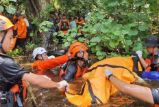 Hilang di Perkebunan, Warga Minahasa Tenggara Ditemukan Meninggal Hari Ketiga