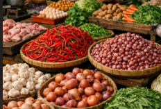 Harga Pangan di Sangihe Masih Mahal, BI Dorong TPID Perkuat Kendali Inflasi