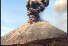 PVMBG Pastikan Erupsi Anak Krakatau Tak Picu Tsunami