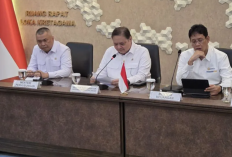 Tiket Pesawat Dipatok Naik Maksimal 13 Persen, Pemerintah Siapkan Subsidi Triliunan