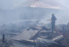 14 Rumah di Permukiman Padat Manado Hangus Terbakar, Api Diduga Berasal dari Aktivitas Menggoreng Tahu