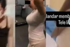 Link Viral Video Bandar Membara Hebohkan Media Sosial, Mainnya di Hotel