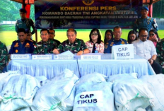 Kodaeral VIII Gagalkan Penyelundupan Ribuan Botol Cap Tikus dari Bitung ke Maluku Utara
