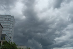 BMKG Ingatkan Potensi Hujan Lebat dan Angin Kencang di Sulawesi Utara hingga 15 Maret 2026