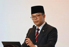 Indonesia dan Negara OKI Kecam Pernyataan Dubes AS Bahwa Israel Bisa Duduki di Tepi Barat
