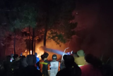 Kebakaran Hutan Gunung Soputan Meluas hingga 300 Hektare, BPBD Ungkap Penyebabnya