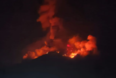 Gunung Karangetang Meletus, Material Pijar Bakar Alang-alang di Sekitar Kawah