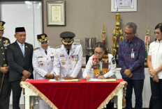 Minahasa Gandeng Sidrap Perkuat Pasokan Beras, Jaga Stabilitas Harga Pangan