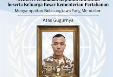 Praka Rico Personel TNI UNIFIL Gugur Usai Jalani Perawatan Akibat Diserang Israel 29 Maret Lalu 