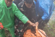 TNI AD Berhasil Evakuasi Dua Korban Pesawat ﻿ATR 42-500