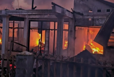 Kebakaran di Sario Manado Rusak 7 Rumah, 60 Warga Terdampak