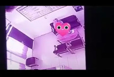 Viral Oknum Kepsek Pekalongan dan Guru yang Mesum di Ruang Kantor 