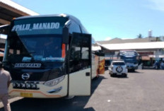Lebaran 1447 H, Tiga Bus dari Terminal Malalayang Diberangkatkan ke Palu