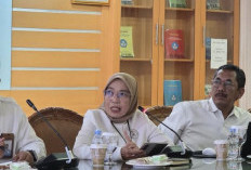 Kemendikdasmen Pastikan Tak Ada PHK Massal Guru Honorer hingga Akhir 2026