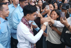 Gibran Ingatkan Bonus Demografi 2030-2045, Ajak Generasi Muda Tingkatkan Daya Saing