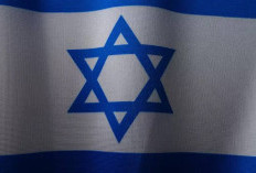 DPR Desak Pemerintah Bebaskan WNI yang Ditahan Israel dalam Misi Bantuan Gaza