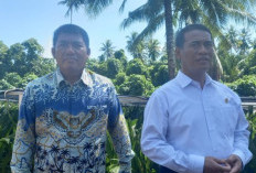 Mentan Siapkan Bantuan Bibit Jagung untuk 15 Ribu Hektare di Sulawesi Utara