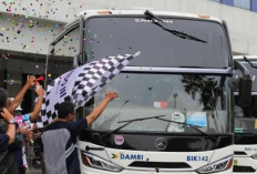 Program Mudik Gratis BUMN 2026, Cek Jadwal Pendaftaran dan Kuota Pemudik