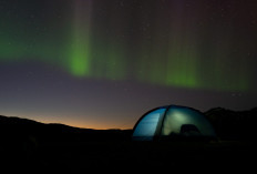 AS Kaji Kemungkinan Akuisisi Greenland, Denmark Tegas Menolak