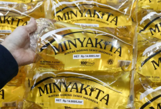 Harga Minyakita Naik, Pemerintah Siapkan Penyesuaian HET dalam Dua Pekan