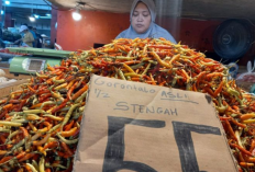 Harga Cabai Rawit Rp200 Ribu, Inflasi Sulut Berisiko Tembus 4,5 Persen
